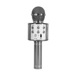 karaoke microfoon