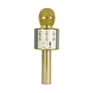 Karaoke microfoon